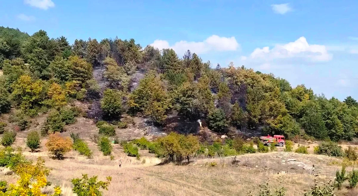 Kütahya Hisarcık'ta yangın 3 saatte söndürüldü, 6 dekar alan zarar gördü