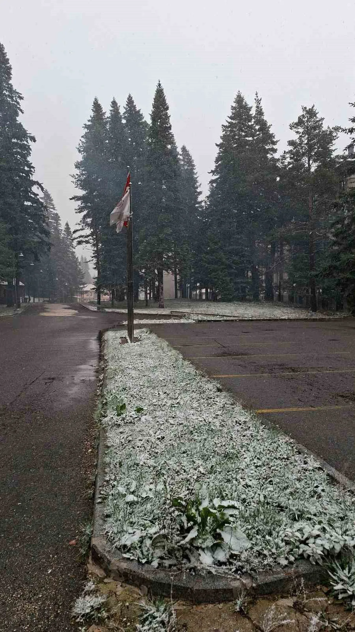 Kastamonu-Çankırı sınırında Ilgaz Dağı'nda kar yağışının gün boyu sürmesi bekleniyor