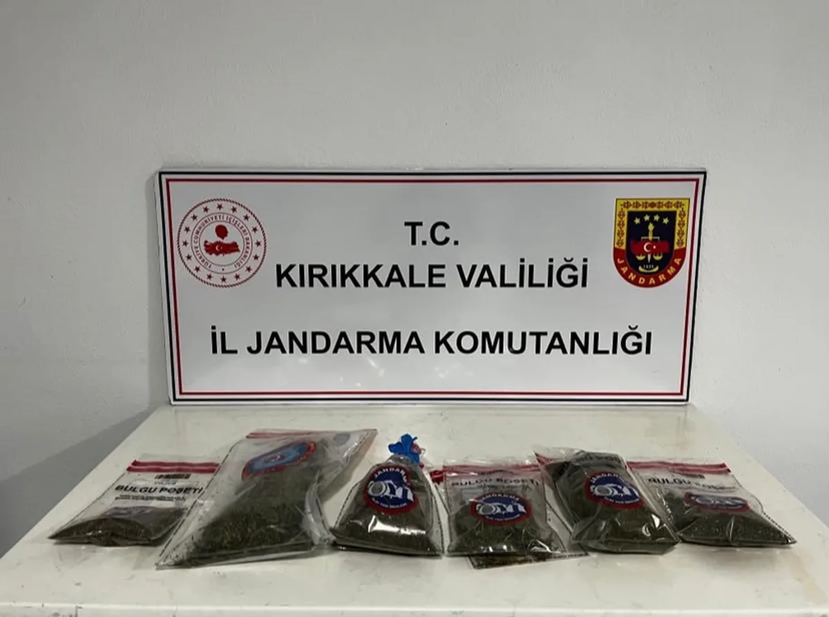 Kırıkkale Hacılar'da bahçede 14 kök kenevir ve 1 kilo 240 gram kubar esrar bulundu