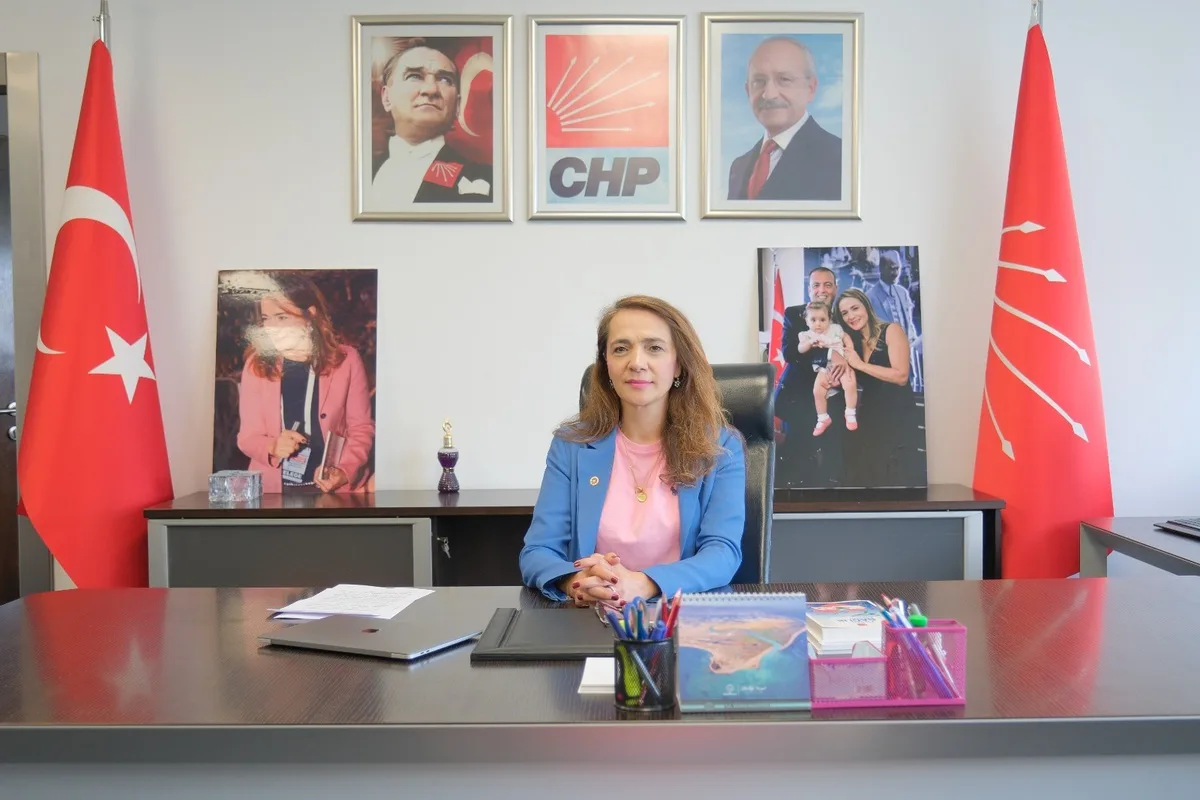 CHP'li İlgezdi, grip mevsimi yaklaşırken aşı ve ilaçlara erişilemediğini söyledi