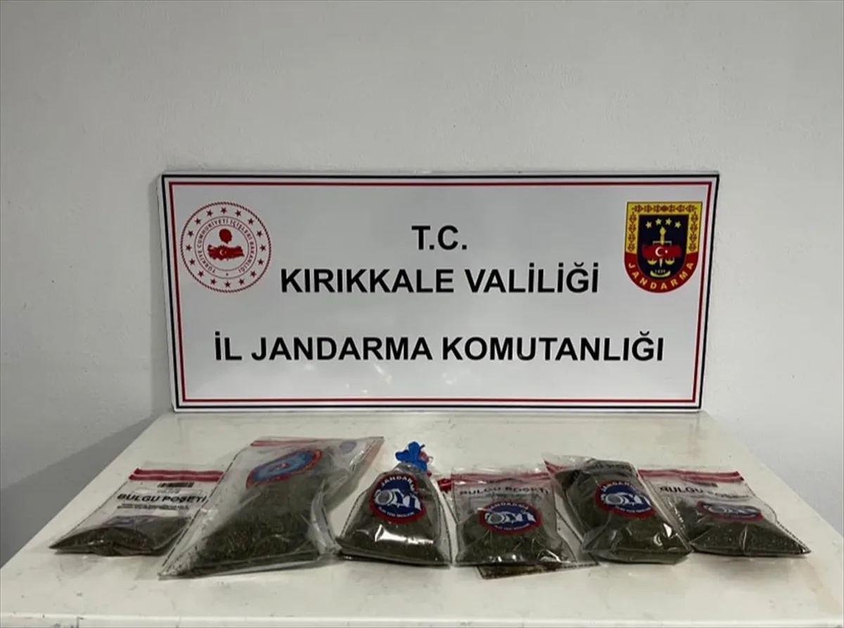 Kırıkkale'de 14 kök kenevir ele geçirilen operasyonda şüpheli gözaltına alındı