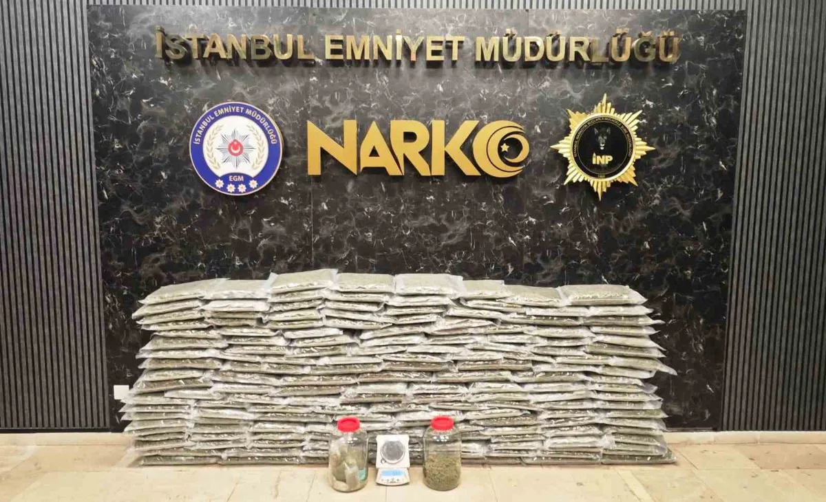 Narkotik ekipleri İstanbul ve Kocaeli'de 100 kilo 583 gram skunk ele geçirdi