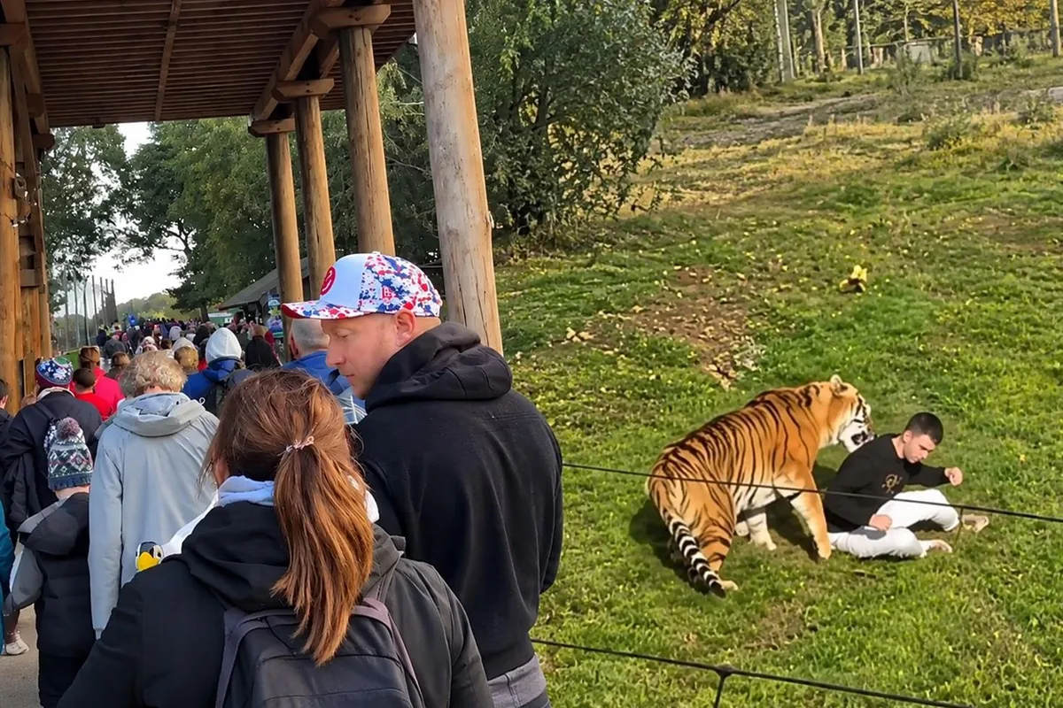 Dakikalar önce söylemiş! Kaplanın öldürdüğü gencin son isteği ortaya çıktı