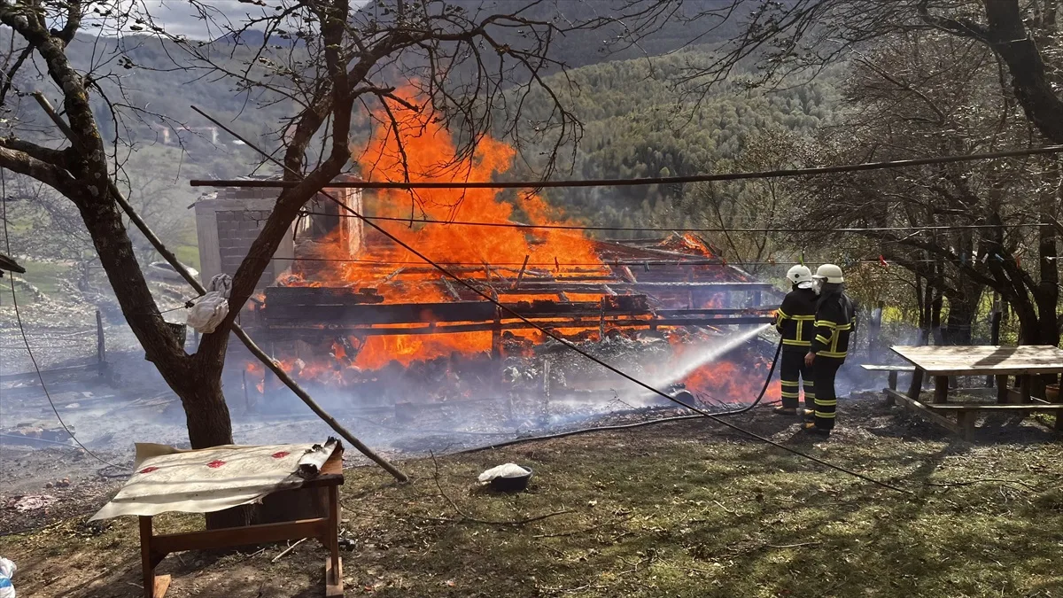 Sinop Türkeli'de rüzgarla büyüyen yangın tek katlı evi kullanılamaz hale getirdi