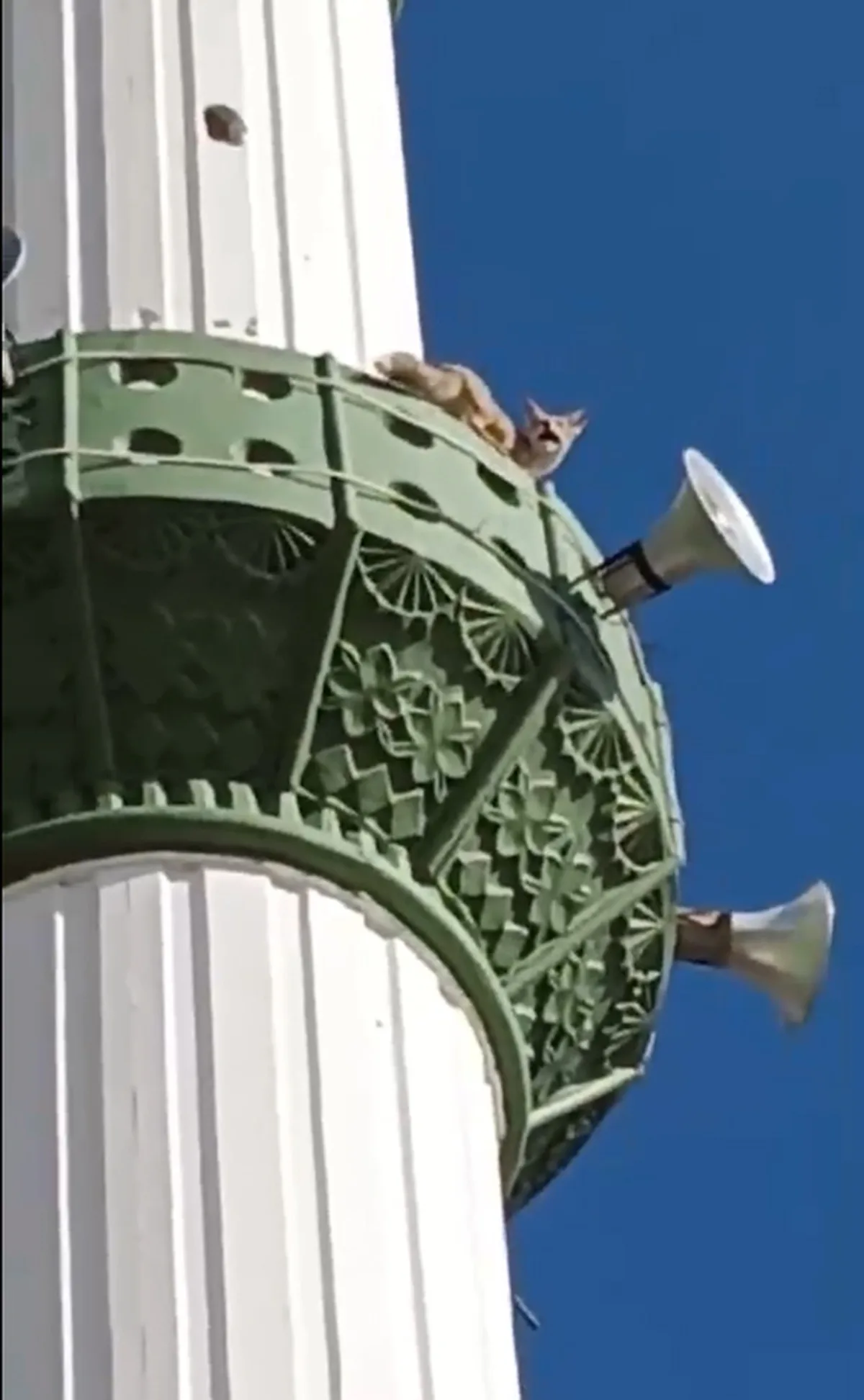 Mersin'in Mut ilçesinde kuşların peşinden giden tilki minarede görüntülendi