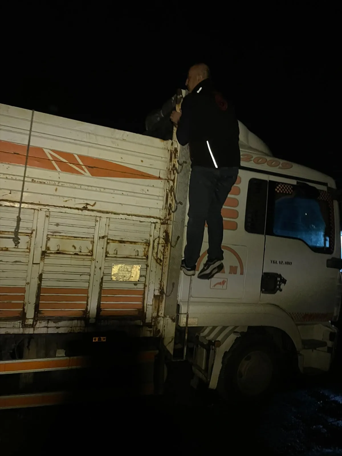 Akyazı gişelerinde durdurulan kamyonda belgesiz taşınan 8 büyükbaş hayvana el konuldu