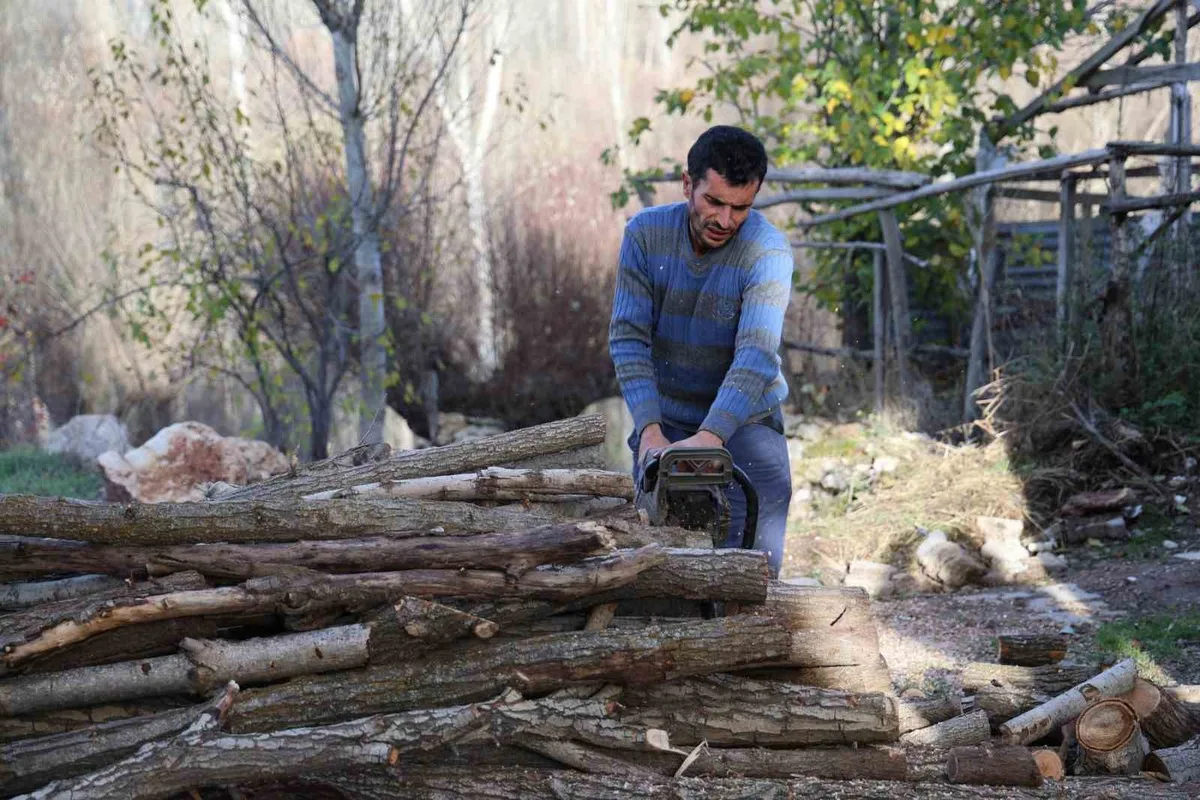 Erzincan'da köy sakinleri kömür pahalılığı nedeniyle odun hazırlığını sürdürüyor
