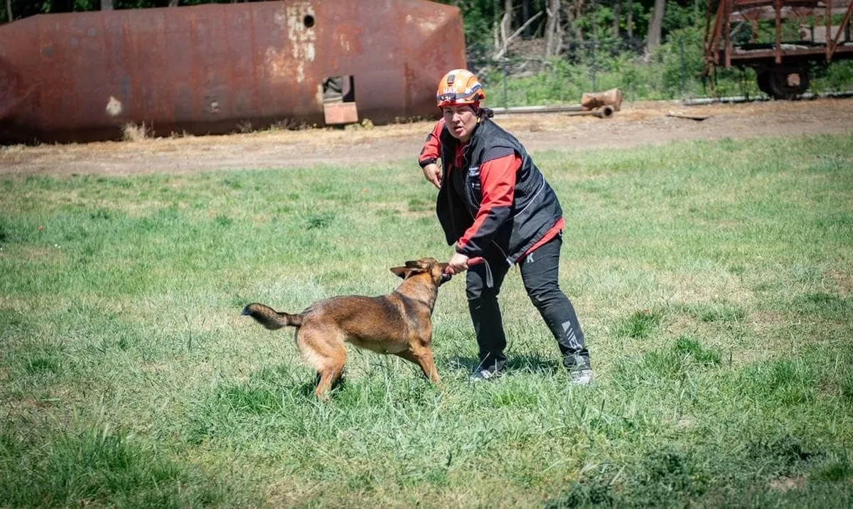 NAK Muğla'nın arama kurtarma köpekleri Afyonkarahisar'da yeterlilik sınavlarını geçti