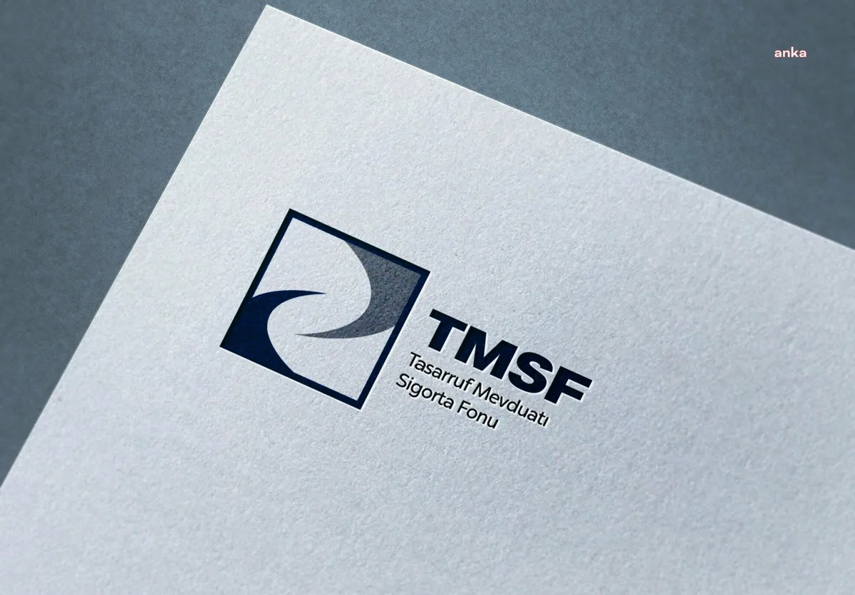 TMSF, Tera Yatırım Teknoloji Holding'e 14 Ekim 2026 kararıyla kayyum atandı
