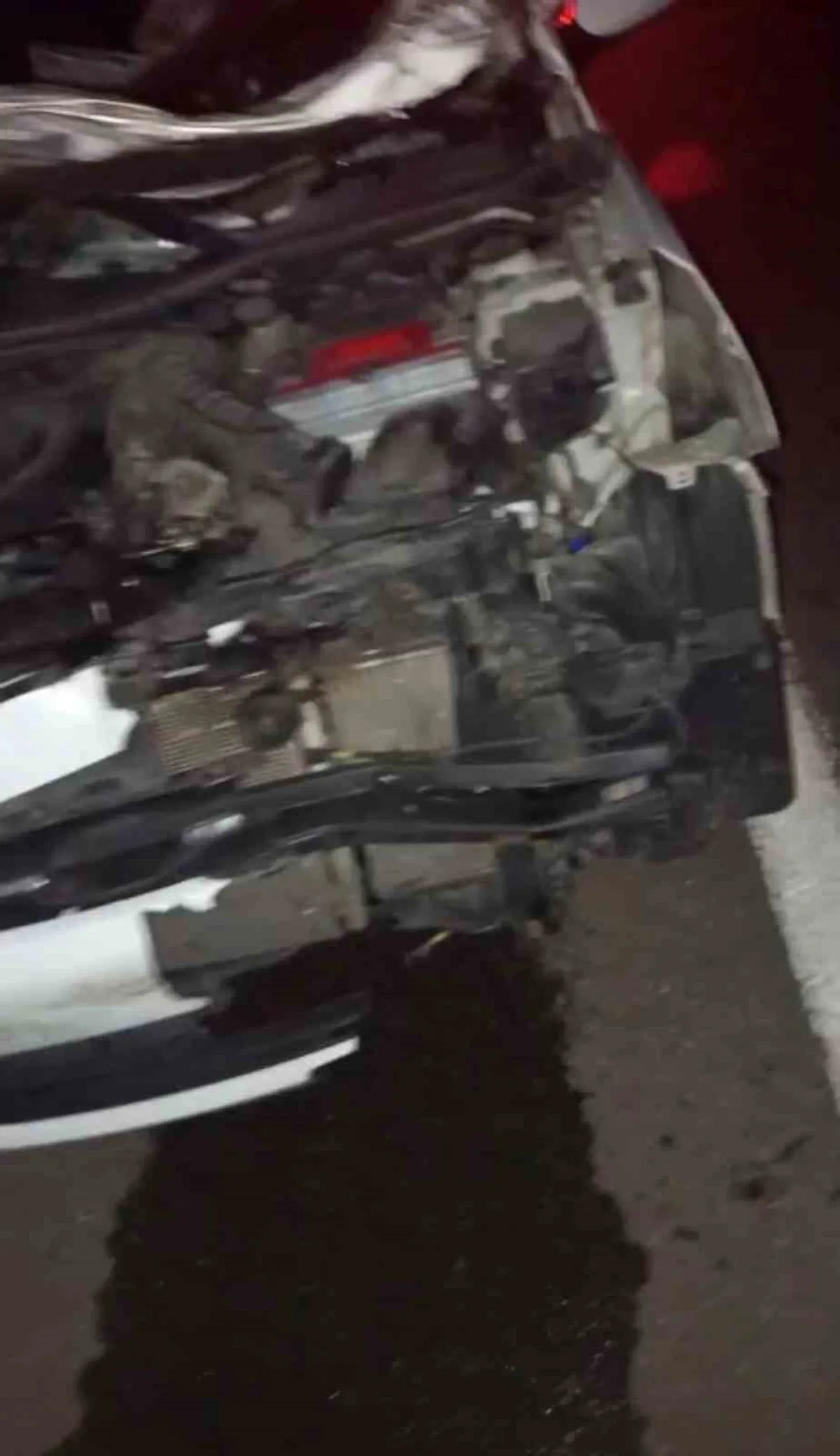 Bingöl'de otomobil yola çıkan ineğe çarptı, biri bebek 2'si ağır 4 kişi yaralandı