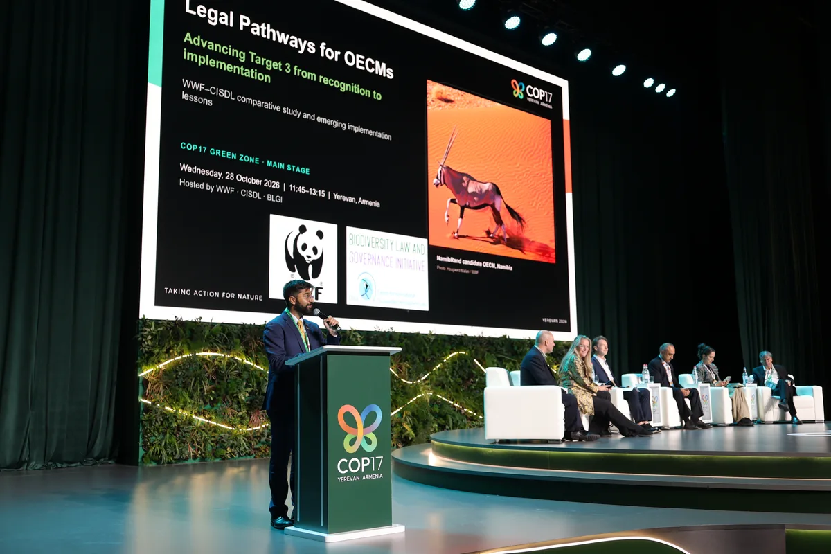 COP17 Erivan'da sona erdi, 2030 için 23 biyoçeşitlilik hedefinde ilerleme sağlanamadı
