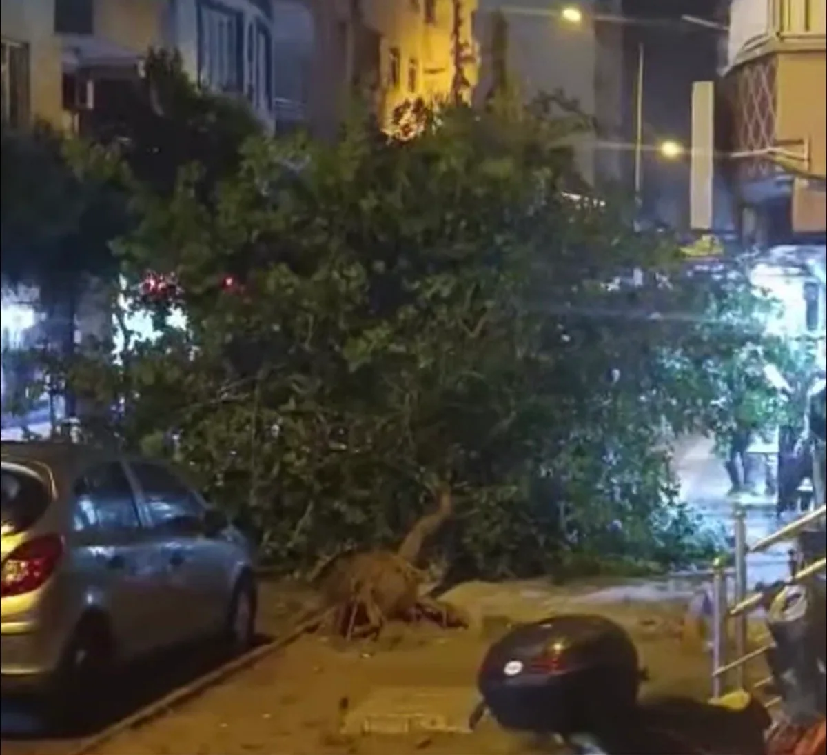 Siirt'te fırtınada ağaçlar devrildi, yetkililer dışarı çıkmayın uyarısında bulundu