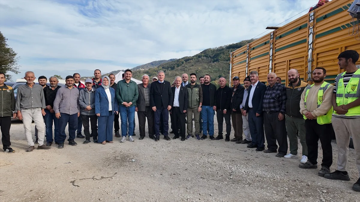TMO Genel Müdürü Güldal Düzce Yığılca'da çürük fındığa yeniden analiz imkanı açıkladı