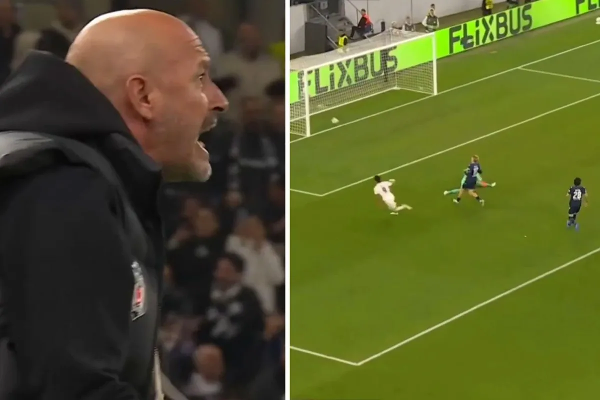 İşte Italiano'nun başarısının sırrı! Takımı gol attı, o sinirden bağırmaya başladı