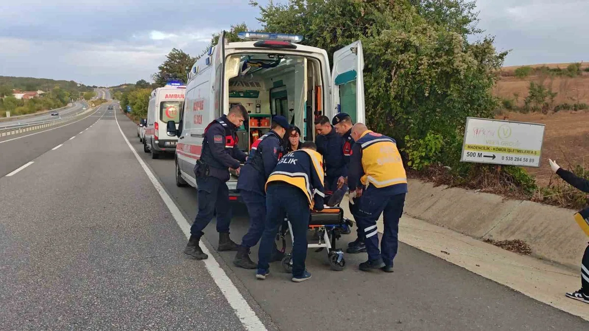 Tekirdağ Malkara'da balık yüklü kamyonet menfeze çarptı, 2 kişi yaralandı