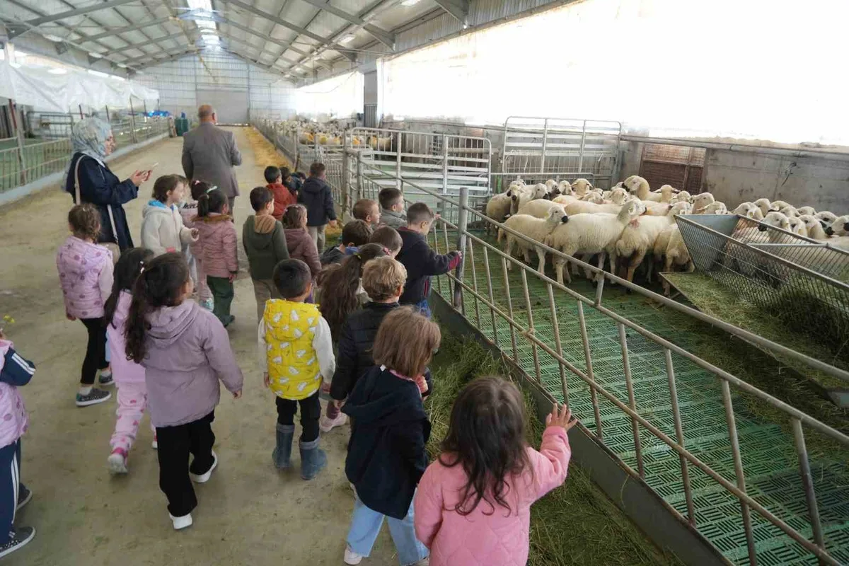 Niğde’de anaokulu öğrencileri üniversitede hayvancılık ünitelerini gezdi
