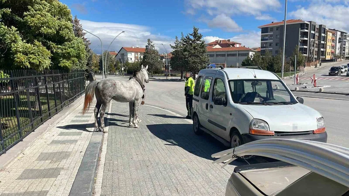 Karaman'da kaçan at otomobile arkadan çarptı, bagajda maddi hasar oluştu