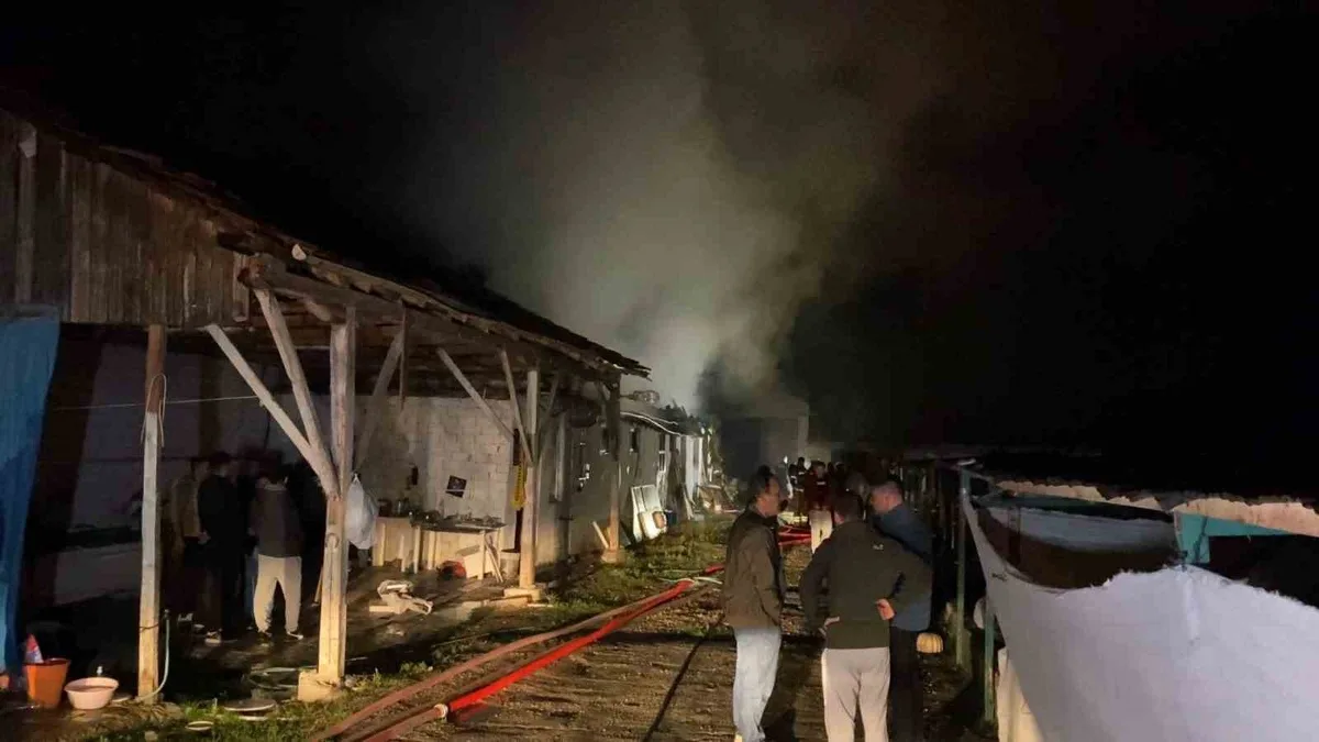 Bursa'nın İnegöl ilçesinde büyükbaş hayvan çiftliği yangında kullanılamaz hale geldi