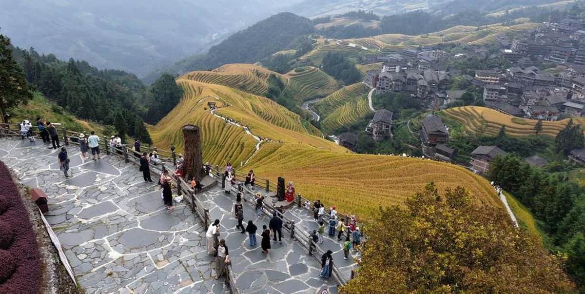 Çin'in Guilin kentindeki Longji pirinç terasları sonbaharda turist akınına uğradı
