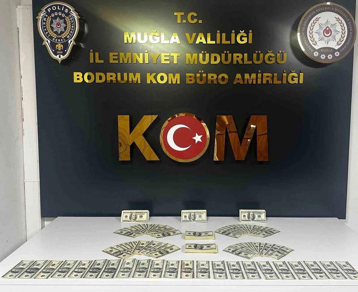Bodrum'da sahte dolar operasyonunda şüpheli tutuklandı, 46 bin 200 dolar bulundu
