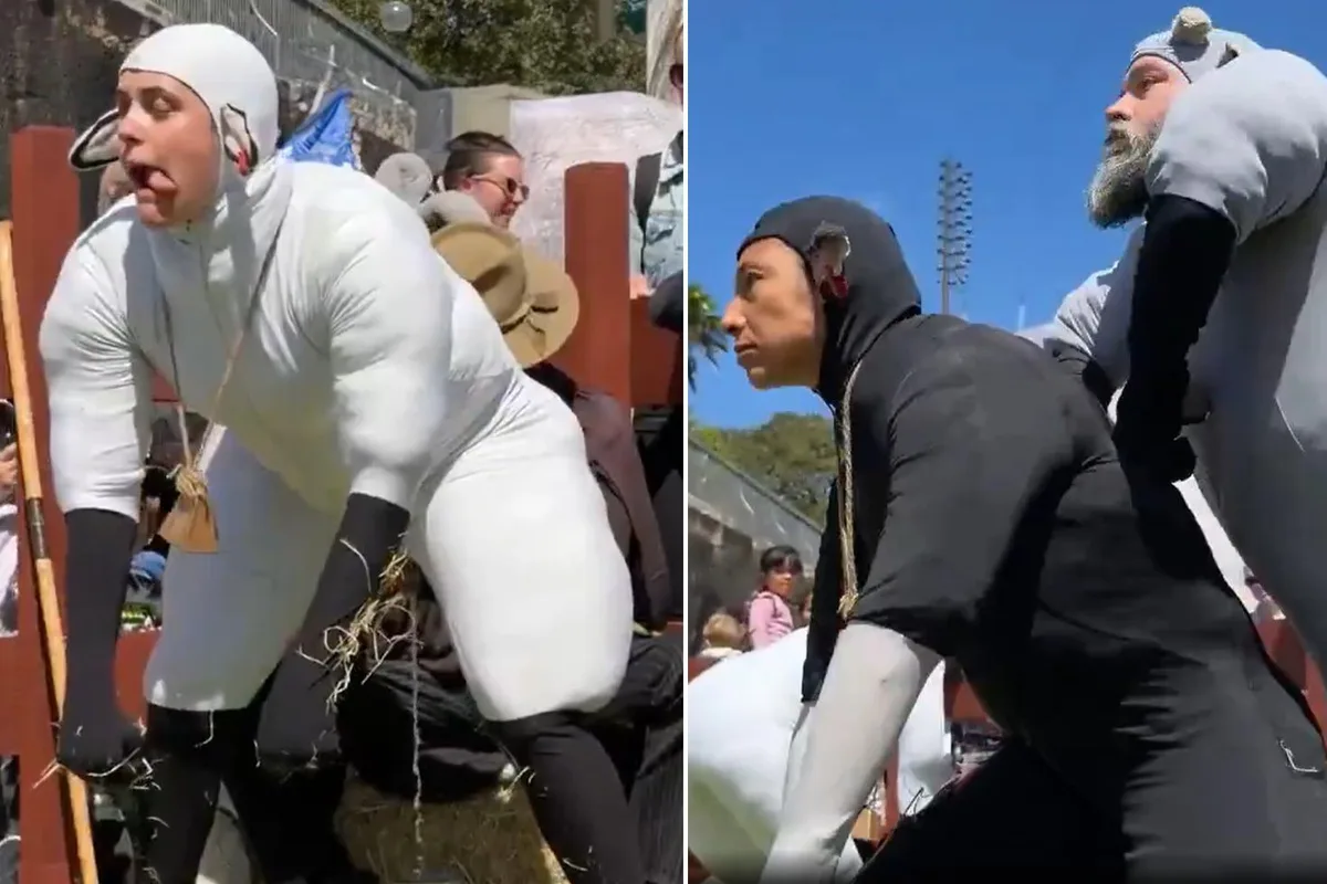 Koyun kılığına giren sanatçılar herkesi şaşırttı
