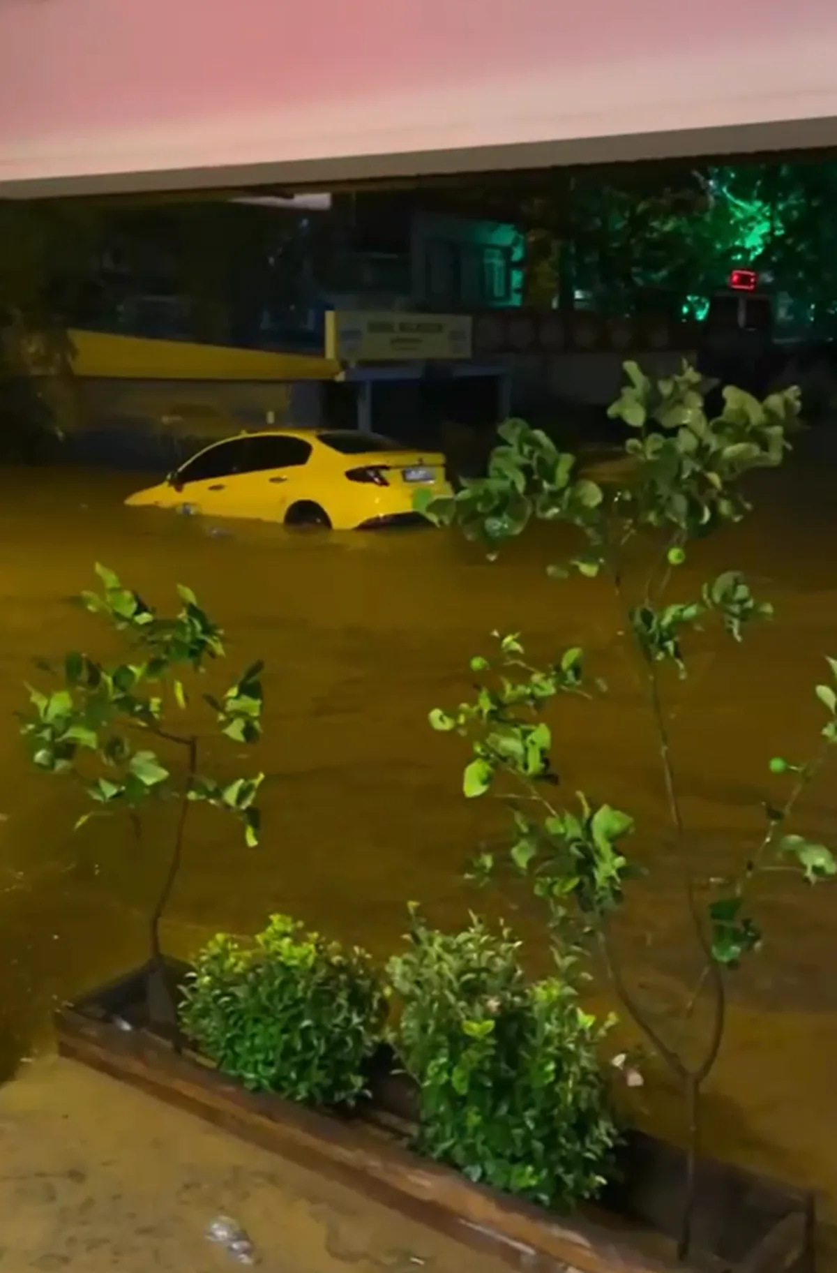 Yalova Armutlu'da sağanakta dere taştı, araçlar sürüklendi, vatandaşlar mahsur kaldı