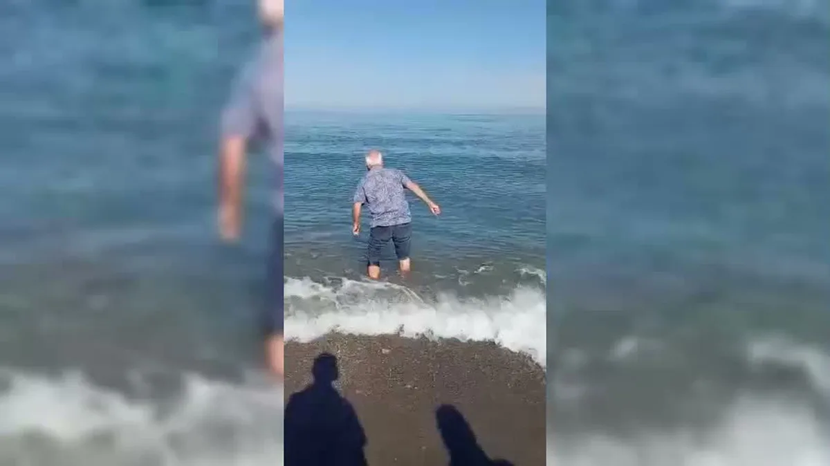 Sinop Türkeli'de kıyıya vuran yunus, bir vatandaşın müdahalesiyle denize döndü
