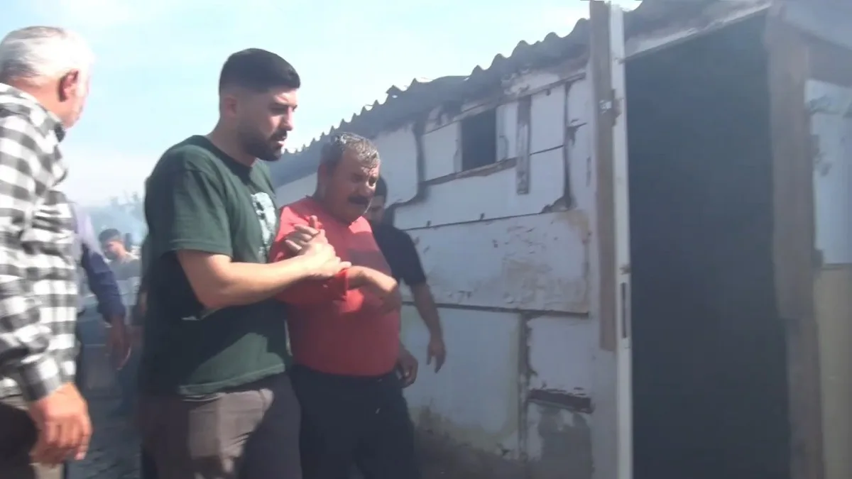 Silivri'deki ahır yangınında çok sayıda hayvan öldü, 2 kişi hastaneye kaldırıldı