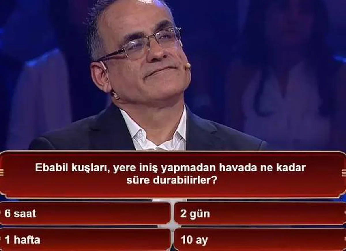Ebabil kuşları, yere iniş yapmadan havada ne kadar süre durabilirler?