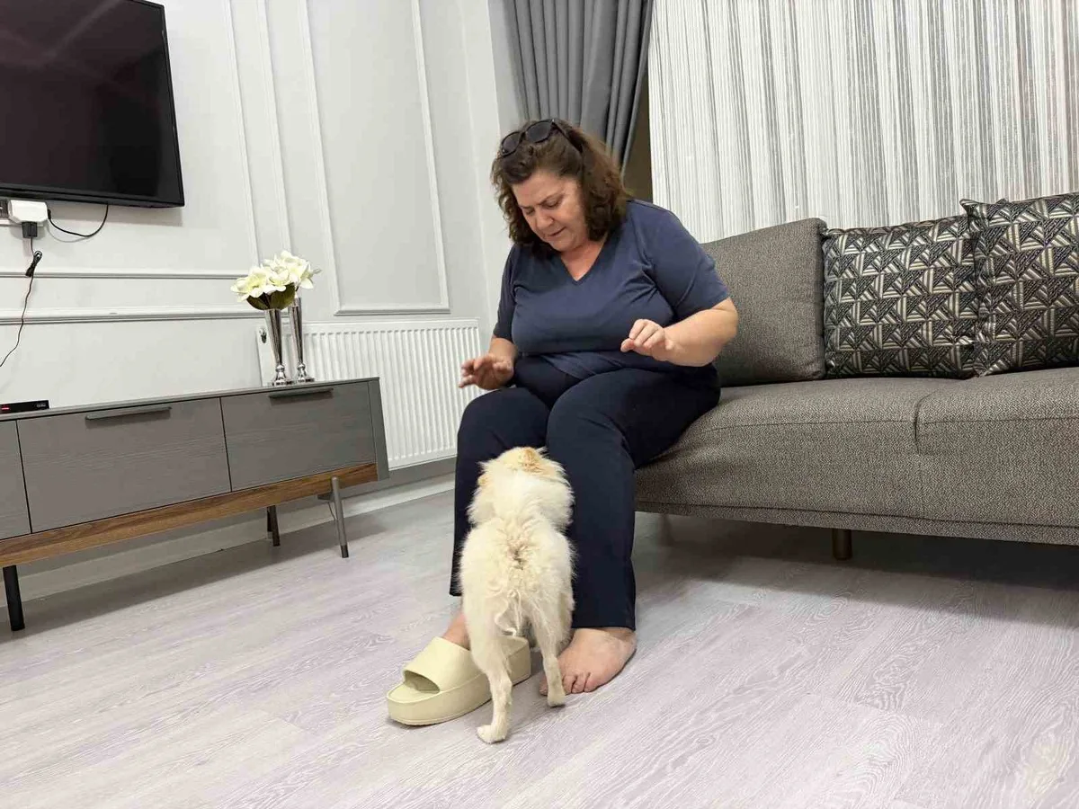 Mardinli aile, Pomeranian panda suratlı köpeğin vaat edilenden farklı çıktığını öne sürdü