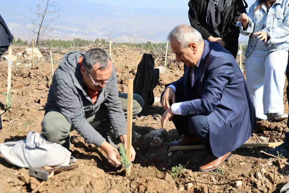 Karabük'te ErasmusDays etkinliğinde 250 fidanlık ağaçlandırma yapıldı