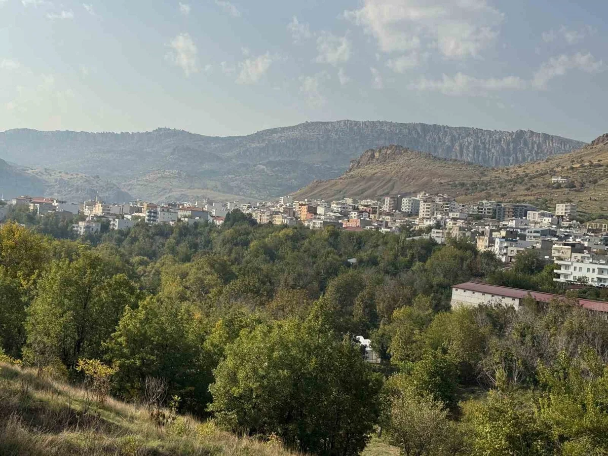 Çermik ve Çüngüş emlakçıları için Tüm Emlak Danışmanlar Birliği başkanlığı kuruldu