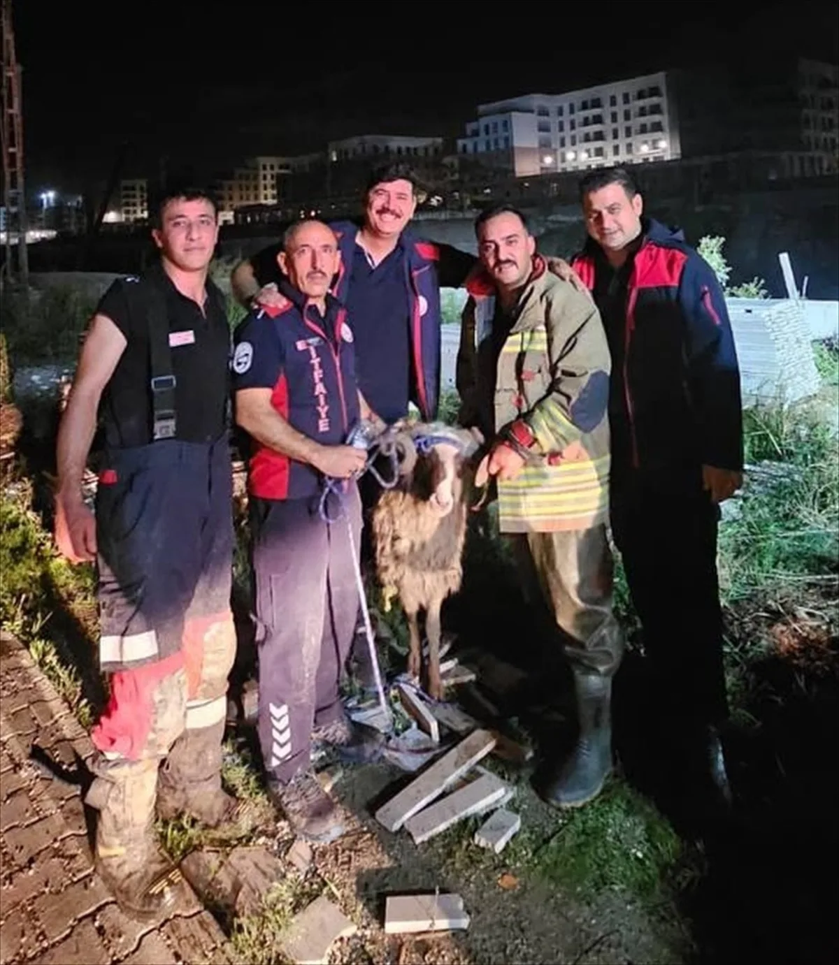 Asi Nehri'ne düşen koyun, Hatay Antakya'da itfaiyenin halatlı müdahalesiyle çıkarıldı