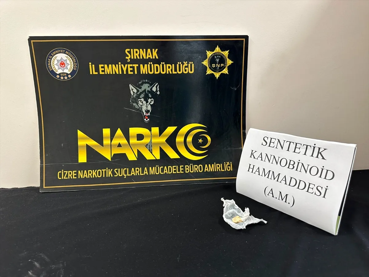 Şırnak'ta 12-18 Ekim operasyonlarında 29 şüpheli adli işleme tabi tutuldu