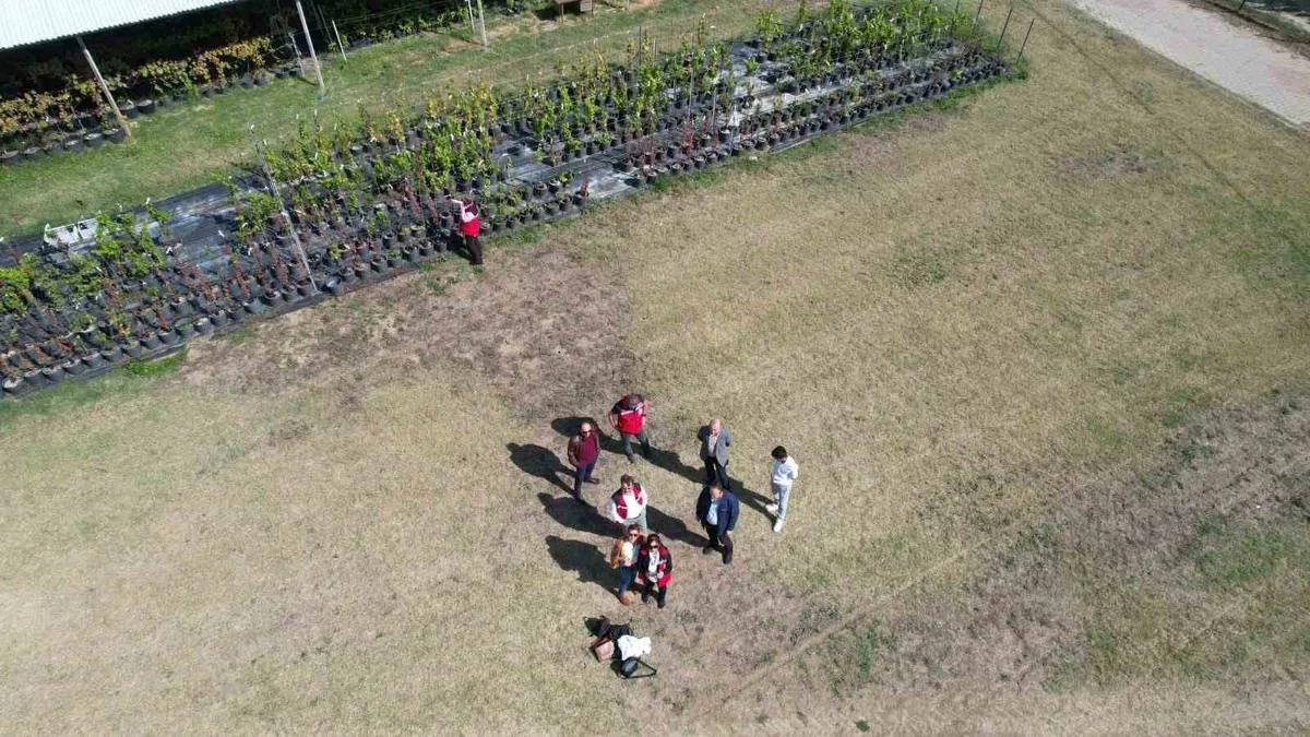 Tekirdağ Tarım ve Orman Müdürlüğü personeline İHA-1 ticari pilot eğitimi verildi