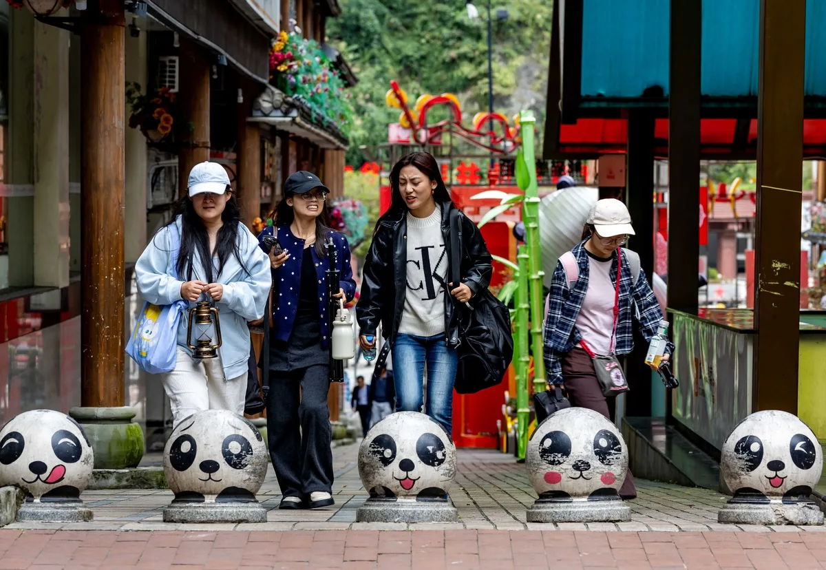 Sichuan'daki Baoxing ilçesi dev panda kaynaklarıyla ekoturizmi hızlandırıyor