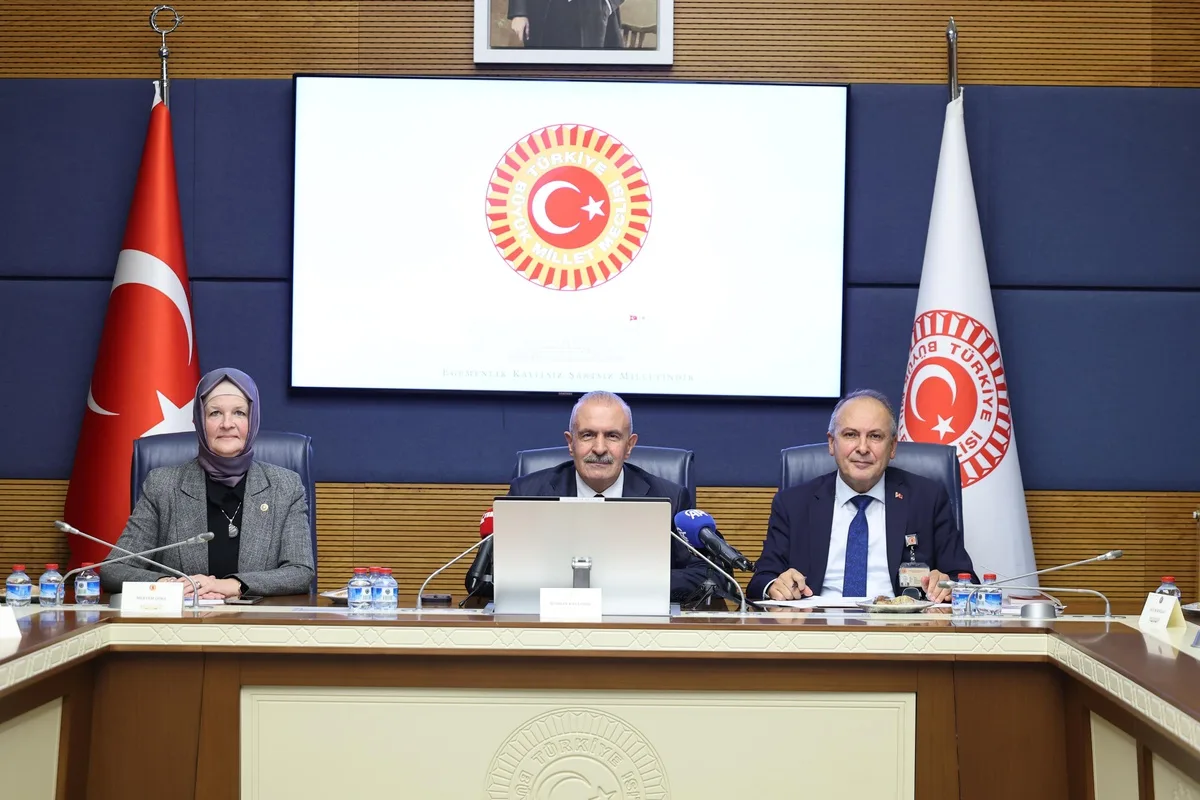 Bozay, Avrupa Konseyi kararlarına uyum oranımızın yüzde 90 civarında olduğunu söyledi