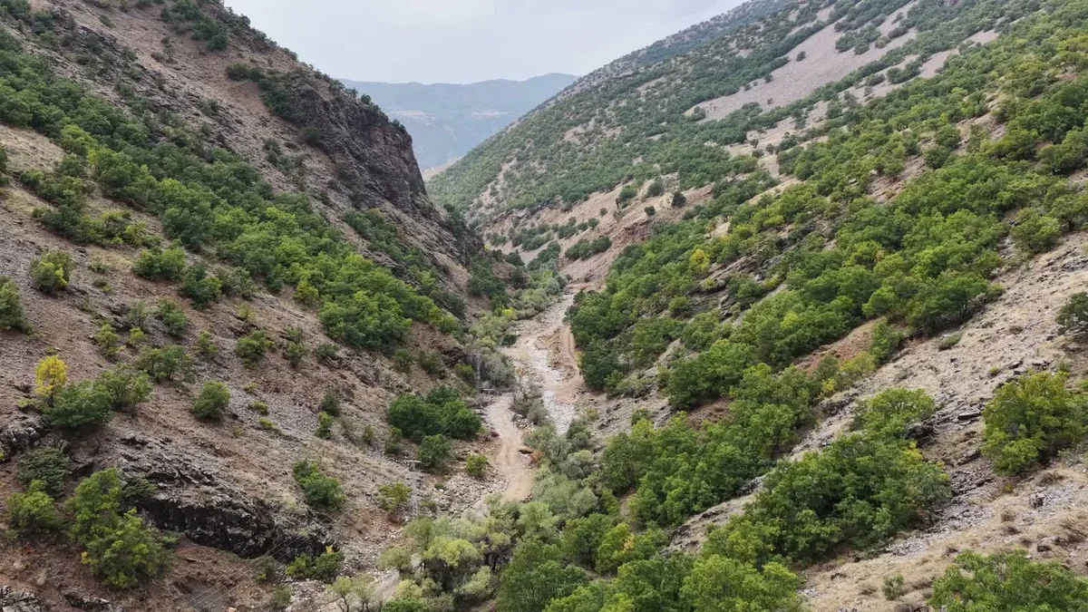 Tunceli'de Dere Ali Mezrası 100 yıllık hayalin ardından elektriğe kavuştu