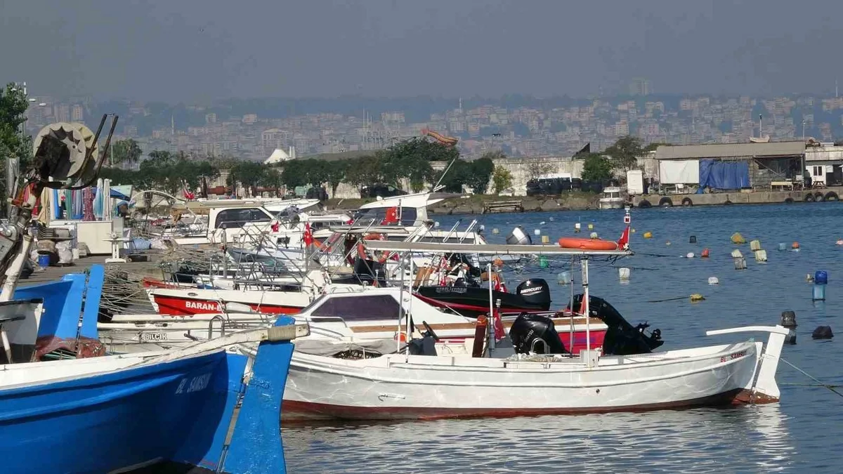 Birlik Başkanı Malkoç, palamut bolluğunda tüm palamutların tutulmasını istedi