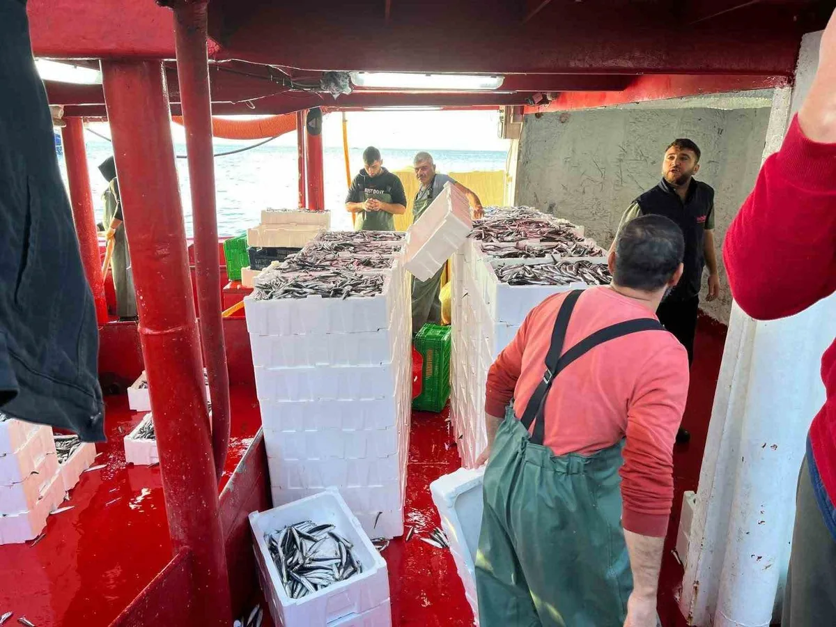 Didim'de hamsi kotası denetiminde balıkçı tekneleri tek tek kontrol edildi