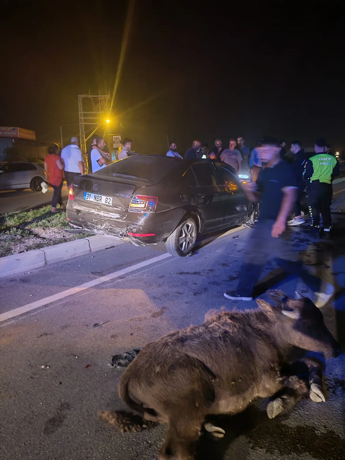 Hatay Samandağ'da 3 büyükbaş hayvana çarpan otomobilin sürücüsü hastaneye kaldırıldı