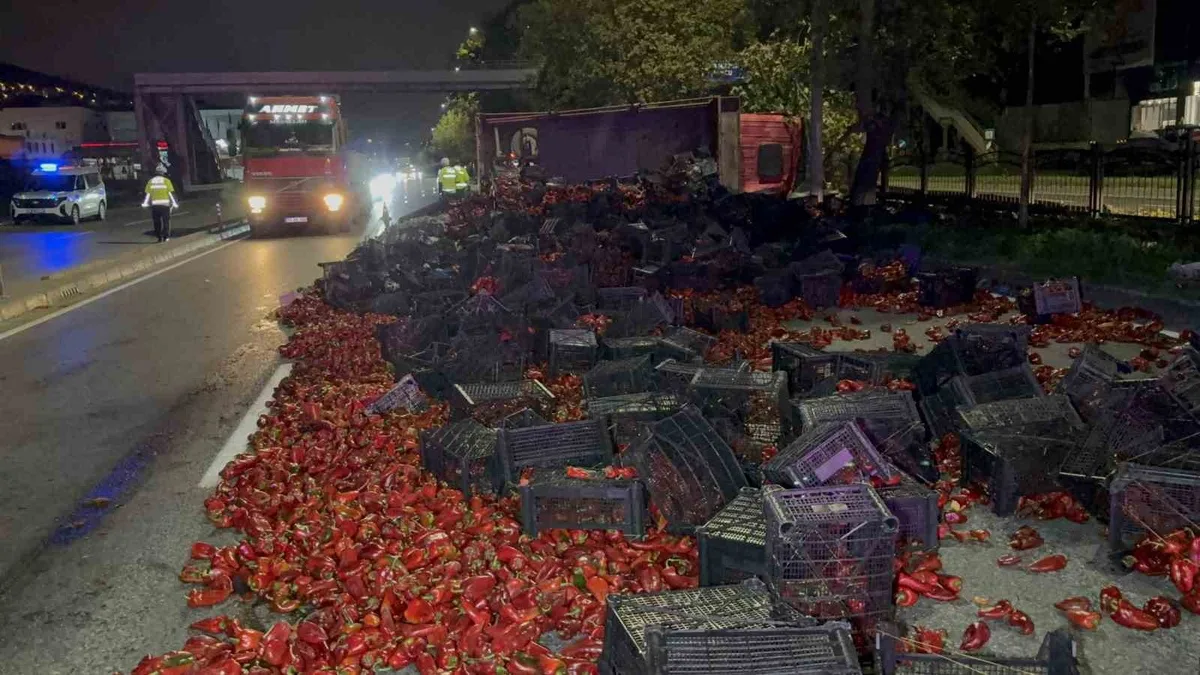Samsun Tekkeköy'de devrilen kamyondaki 10 ton biber yola saçıldı, 2 kişi yaralandı