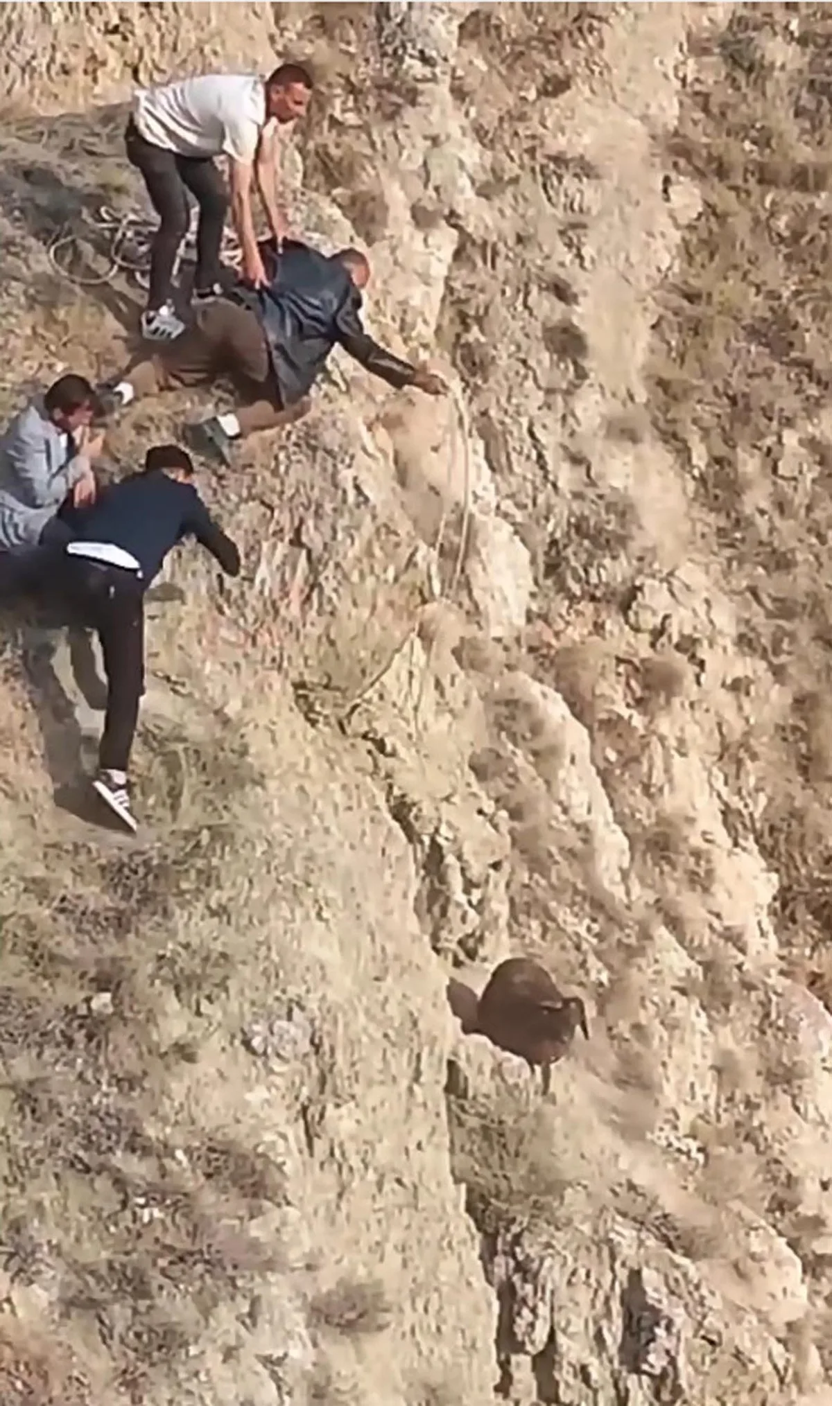 Erzurum'da kurttan kaçan koyun uçurumda mahsur kaldı! Gençler halattan kementle kurtardı