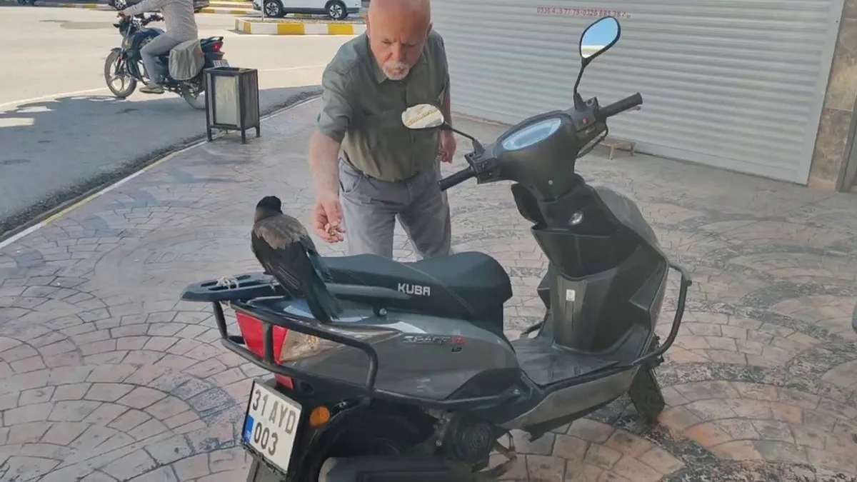 Hatay Erzin'de kaybolan karga için esnaf Süleyman Bakıcı geri getirilmesini istedi