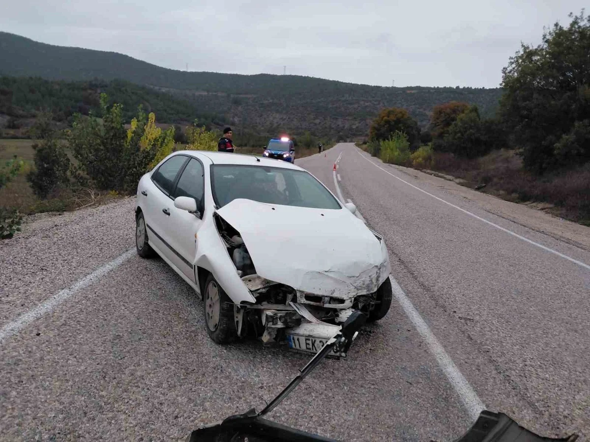 Bilecik Gölpazarı'nda yağışla kayganlaşan yolda otomobil kaza yaptı, sürücü yaralandı