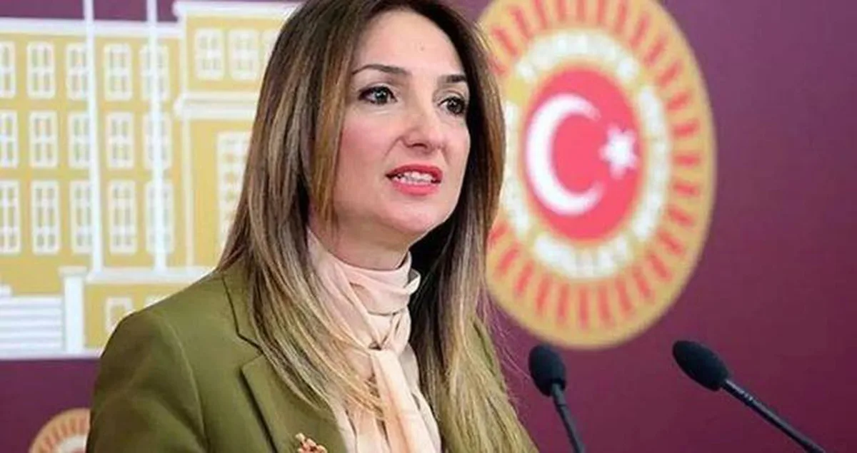 Aylin Nazlıaka kimdir, neden ihraç edildi? Aylin Nazlıaka kaç yaşında, nereli, eşi kim?