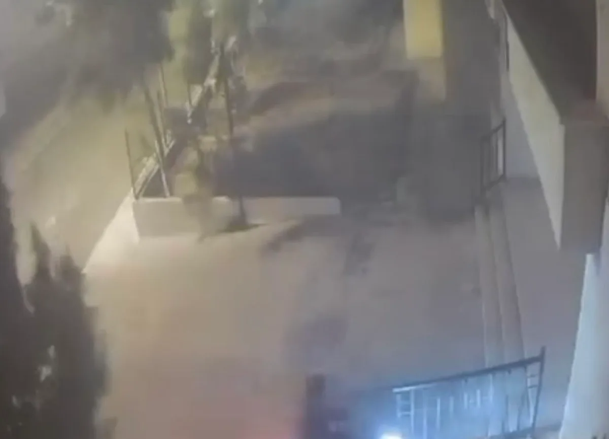 Mardin Nusaybin'de ağaç, motosikletlinin geçişinden 10 saniye sonra yola devrildi