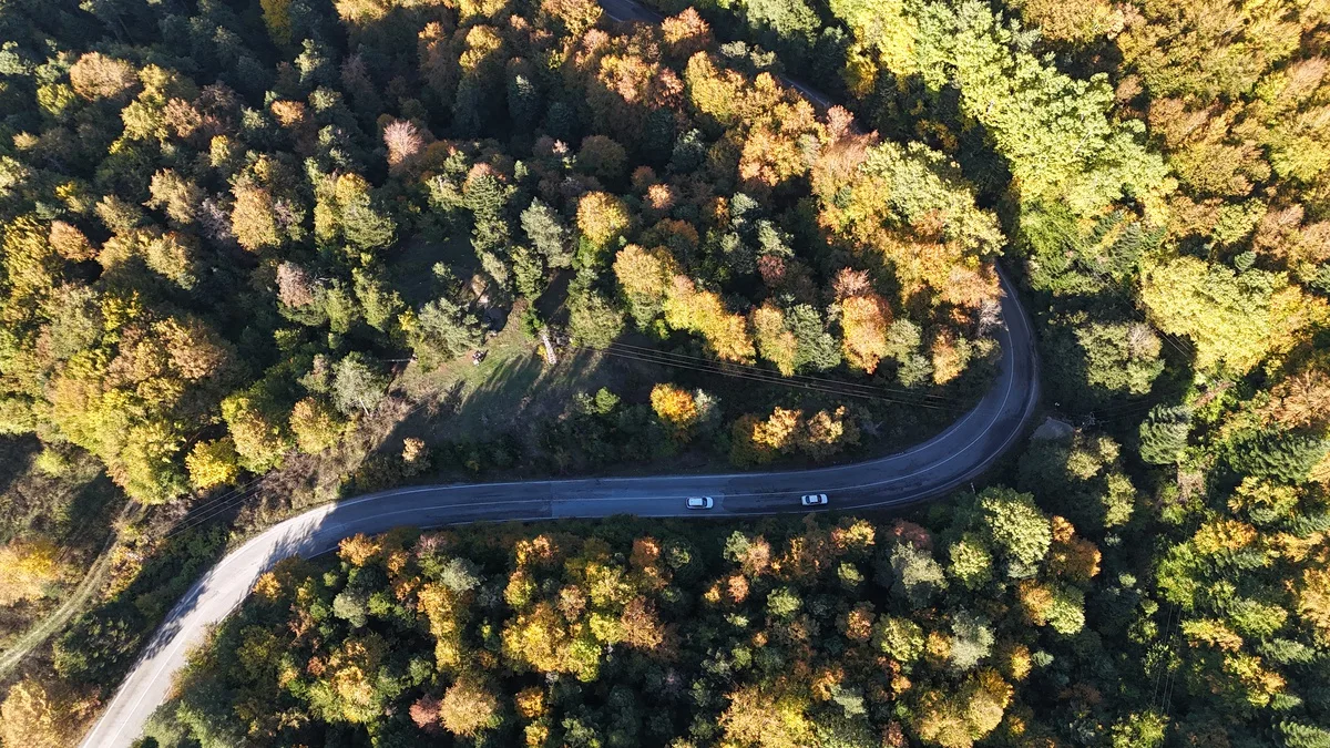Bolu'da sonbaharla sararan ormanlar Gölcük Tabiat Parkı yolunda dronla görüntülendi