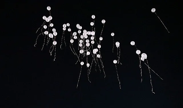 Gökyüzüne pembe balon bıraktılar