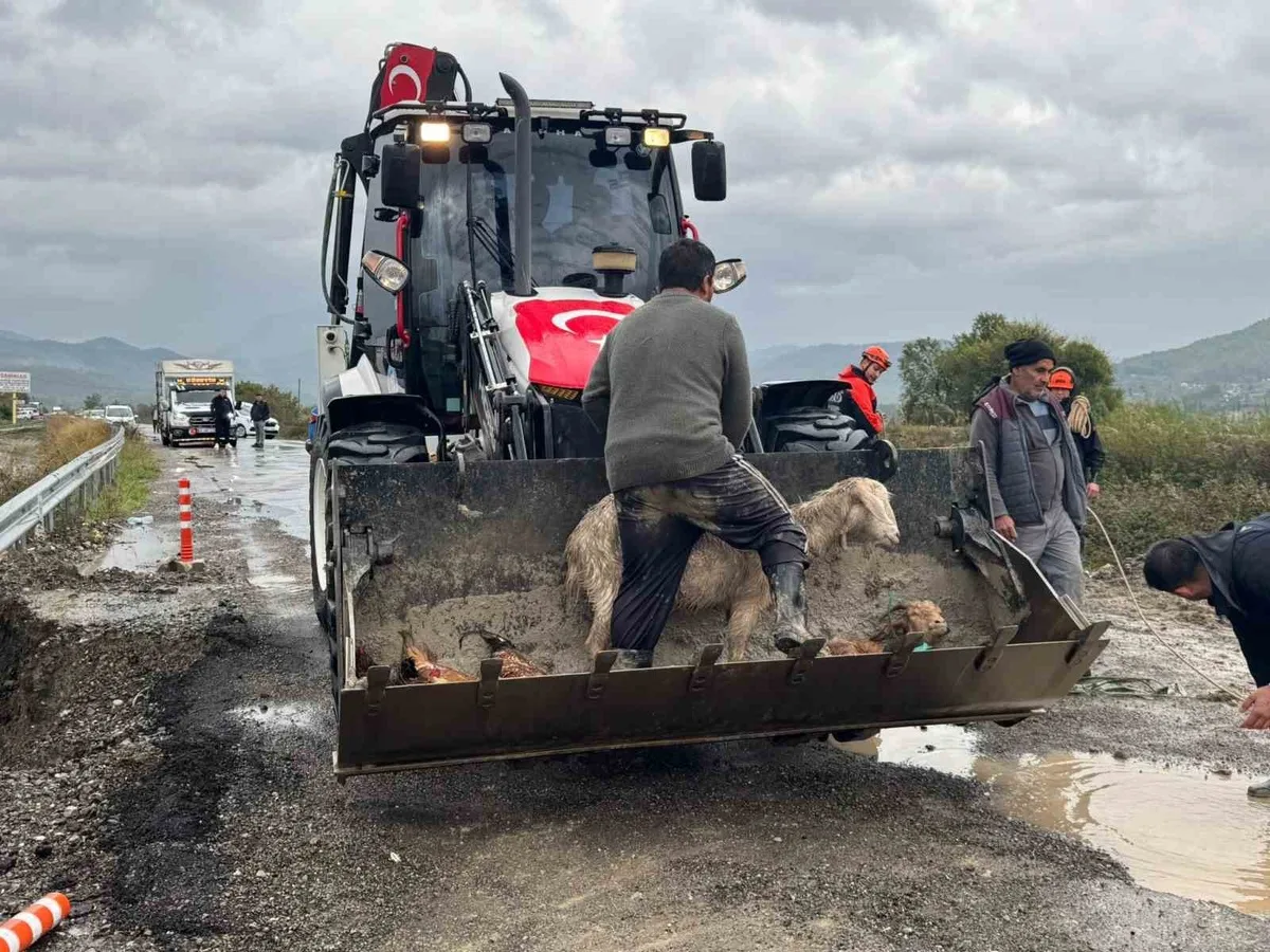 Muğla Dalaman'da Tersakan Çayı taştı! İlçe sular altında, mahsur kalanlar botlarla kurtarılıyor